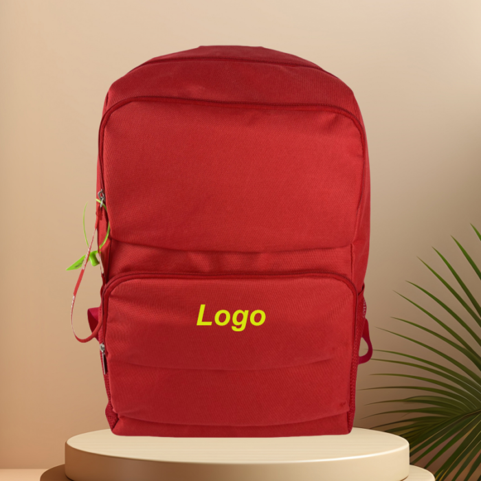 Backpack for Students or Trip