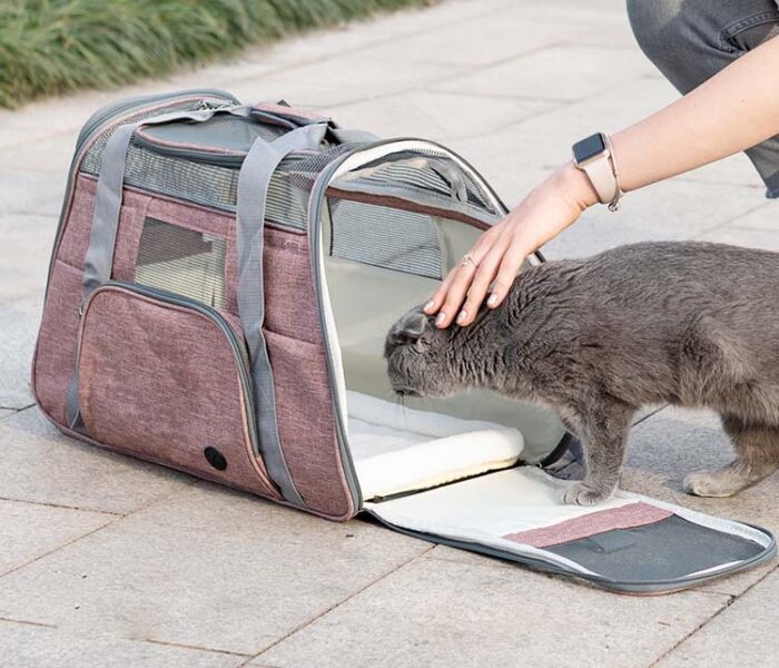 Portable Pet Bag for Outdoor - Image 5